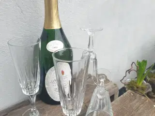 Champagne glas