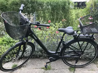 El cykel -dame