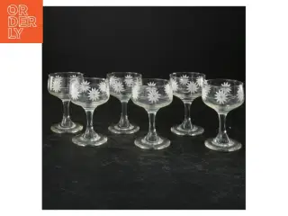 Et sæt af seks glas med indgraverede blomster (str. 9x5 cm)