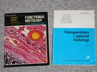 Kompendium i speciel histologi