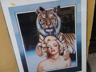 Flot billede af modig dame med tiger