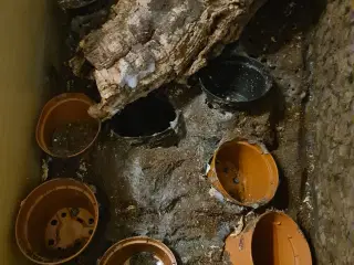 Terrarium 90x45x90