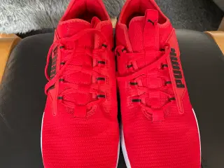Røde puma løbesko