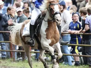 Sød 2’er pony sælges 