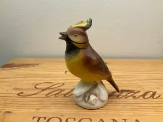 Fugl