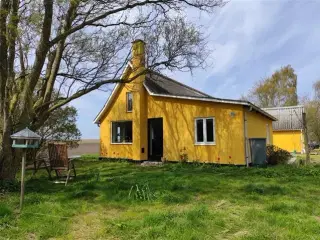 Lej vores charmerende gule hus i det landlige Vemmelev - tæt på skoler, butikker og natur!