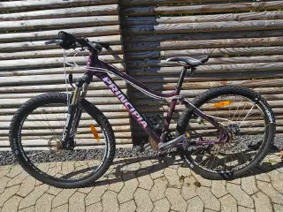 Principia mountainbike 16"