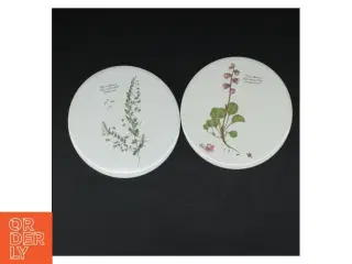 Porcelænsbakker med botaniske motiver motiver (str. 2 styk. ø. 15,5 cm)