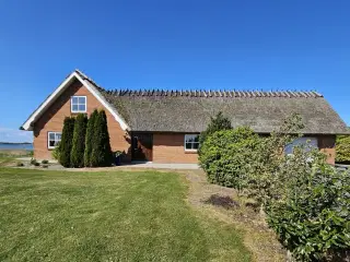 Stort hus på stor grund, Bogø