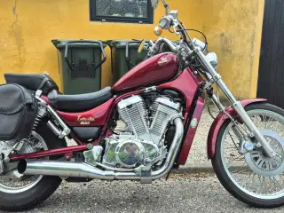 Suzuki vs800 Intruder