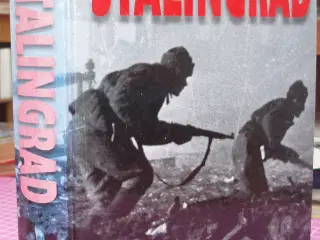Krig; Stalingrad af Antony Beevor