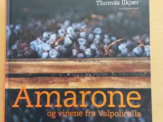 Bogen Amarone og vinene fra Valpolicella