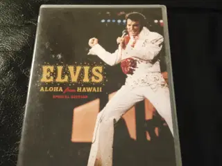 Elvis 