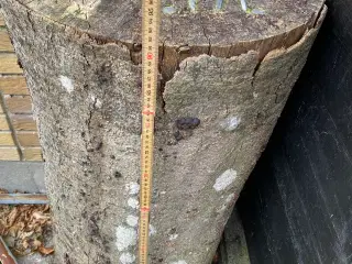 Sømblok brugt en aften 