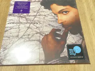 Prince - Musicology