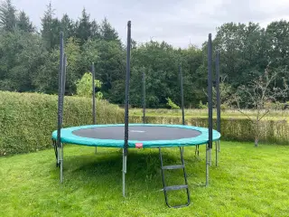 Trampolin BERG