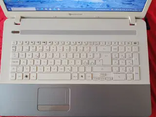 Flot 17,3" notebook perlemor hvid