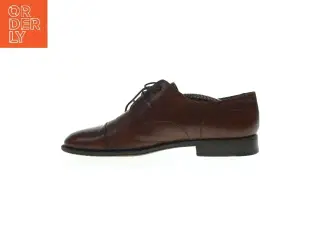 Herresko fra Cerutti 1881 (str 9,5)