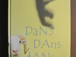 dans dans dans, af haruki murakami, genre: roman