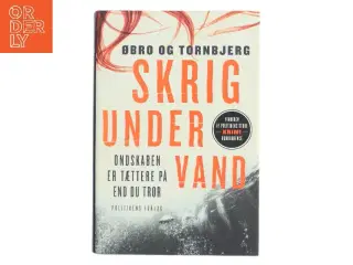 Am Ende Eines Sommers, Roman,, Aus Dem Englischen Von Rainer Schmidt af Øbro og Tornbjerg (Bog)