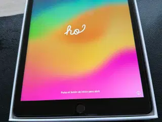 iPad 256 GB Wi-fi +Celluar