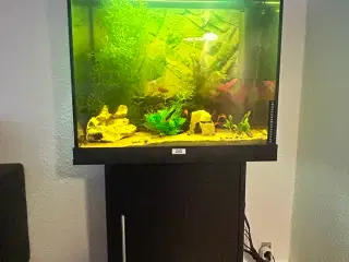 Juwel akvarium 120 L