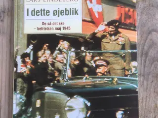 I dette øjeblik – De så det ske, Lars Lindeberg