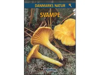 Danmarks Natur - Svampe