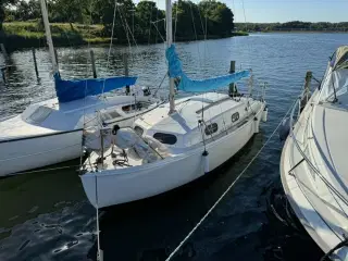 Kingfisher 20 Sejlbåd