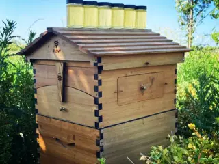 Sælges: 1 stk bifamilie . Langstroth