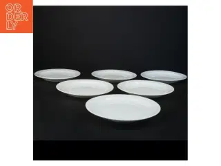 Hvide porcelænstallerkener (str. 17 x 2 cm)