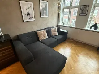 Gives væk gratis. Kom og hent