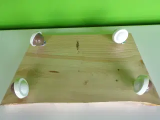 Ny plantevogn, til din yndlings plante
