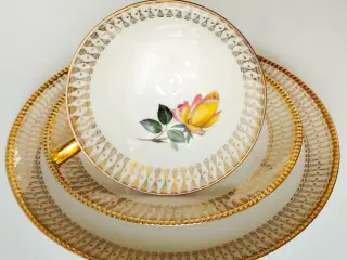 Winterling Roslau Bavaria vintage porcelæn tesæt