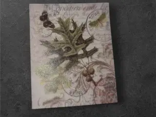 Vintage botanisk tryk: "Edition Epide Be Tour 973"