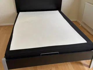 Elevationsseng 