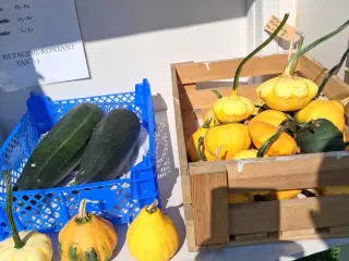 Pynte græskar / Squash  og blomster  buket