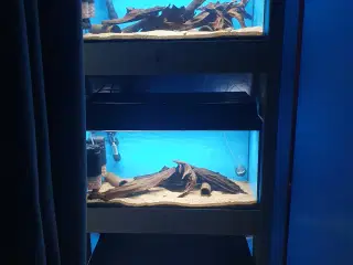 Akvarie reol 