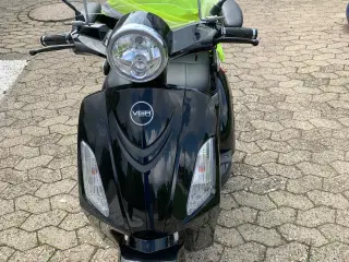 Scoter