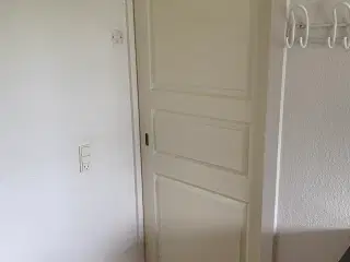 Skydedør 