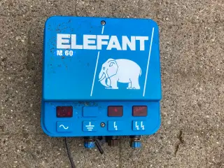 Elefant hegn