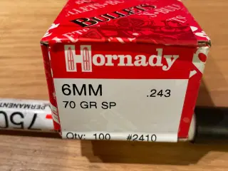 Jagt Projektiler Hornady 70gr