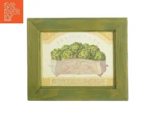 Indrammet billedkunst med artiskokmotiv