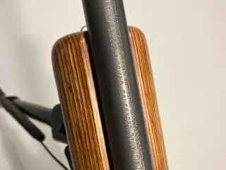 Ruger m77 varmint