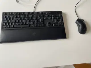 Razer tastatur og mus
