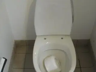 Toilet Ifö Aqua