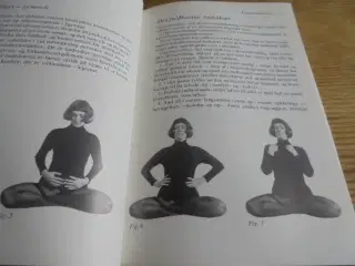 Yoga for begyndere – Vibeke Berg  Clausen 