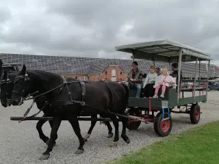 Hestevogn til turkørsel 2 spand