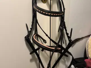 Shetlænder trense med sommerfugle