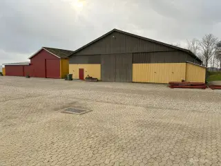 Lager udlejes